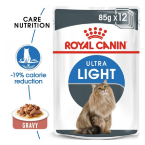 cat wet food from royal canin