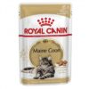 royal canin adult maine coon