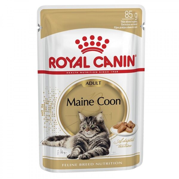 royal canin adult maine coon