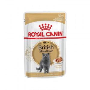 royal canin adult British shorthair