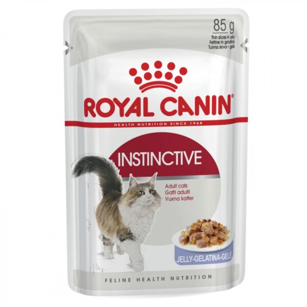 royal canin instinctive jelly