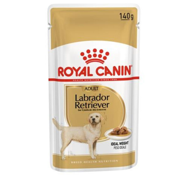 breed health nutrition labrador