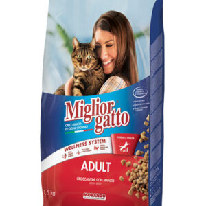 Miglior gatto beef kibbles adult cat dry food